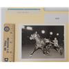 Image 1 : Harness Racing, Featuring Horse Steal The Show, 1 Photo