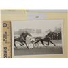 Image 1 : Harness Racing, Featuring Horse Speedy Son,1 Photo
