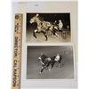 Image 1 : Harness Racing, Featuring Horse Starfire Kimba, 2 Photos