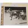 Image 1 : Harness Racing, Featuring Horse Starglo Knight, 1 Photo