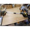Image 1 : Cordless Grass Trimmer / Edger