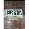 Image 1 : 1 Sunny Manitoba 1971 License Plate