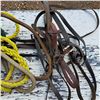 Image 3 : Rope and horse tack- reigns