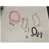 Image 1 : Collection of Jewelry (Necklaces, earrings, and etc.)