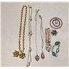 Image 1 : Collection of Jewelry (Necklaces, earrings, and etc.)