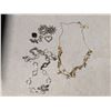 Image 1 : Silver Necklace, Silver Toned Brooch's, Gold Toned Necklaces, ring, and etc.