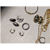 Image 5 : Collection of Jewelry (necklaces, earrings, and etc.)