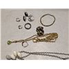 Image 8 : Collection of Jewelry (necklaces, earrings, and etc.)