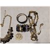 Image 7 : Collection of Jewelry (necklaces, earrings, and etc.)