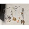 Image 1 : Collection of Jewelry (necklaces, earrings, and etc.)