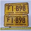 Image 1 : Pair of 1967 Sk license plates