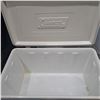 Image 2 : Vintage coleman ice chest