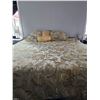 Image 1 : King size Bed Set. Large Comforter one pillow case and three throw pillows