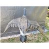Image 4 : Large Canada goose decoy. Wing span 45 inches.