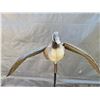 Image 5 : Large Canada goose decoy. Wing span 45 inches.