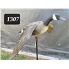 Image 1 : Large Canada goose decoy. Wing span 45 inches.