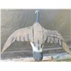 Image 4 : Large Canada goose decoy. Wing span 45 inches.