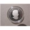Image 2 : 2013 $10. Niagara Falls. 99.99% pure Silver. Housed in its original RCM case with COA. Proof.