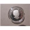 Image 2 : 2013 $10. Summer Fun. 99.99% pure Silver. Housed in its original RCM case with COA. Proof.