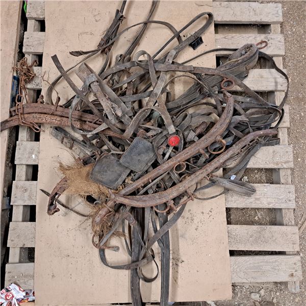 Various horse tack