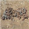 Image 1 : Tractor chains-10'