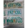 Image 3 : 3 pairs of Sk license plates
