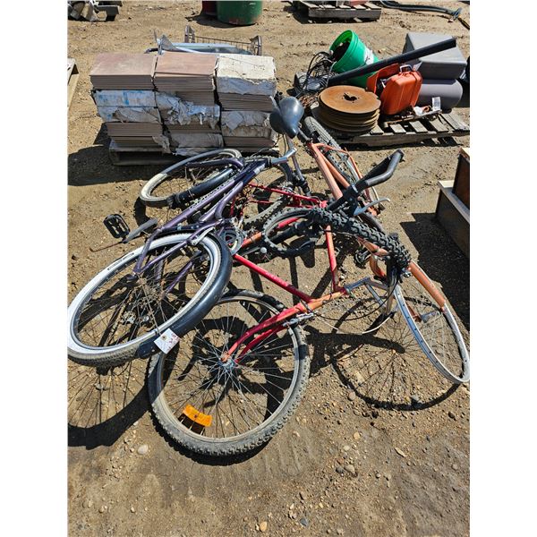 Schwinn/Bonelli/Raleigh Bikes