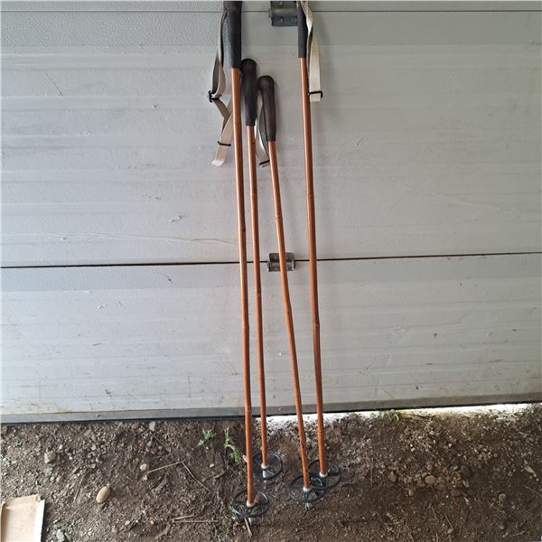4 ski poles