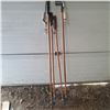 Image 1 : 4 ski poles