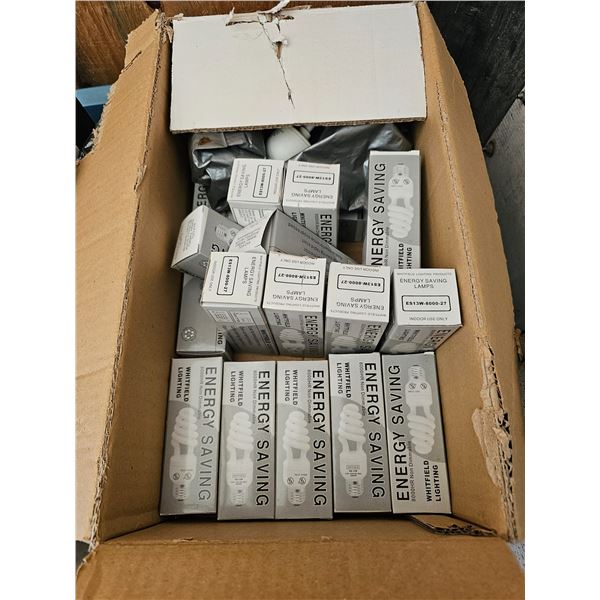 Box of Lightbulbs