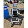 Image 1 : Step Ladder