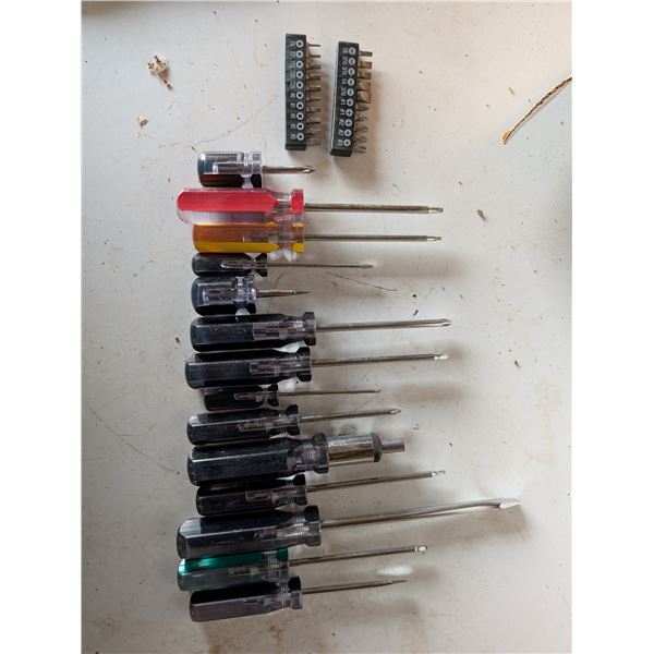 Lot of Full of Screw drivers, and screw driver Bits