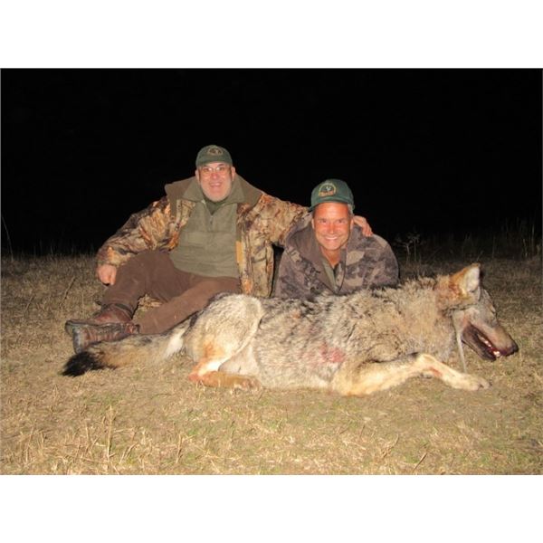 7-day European Wolf Hunt in Macedonia