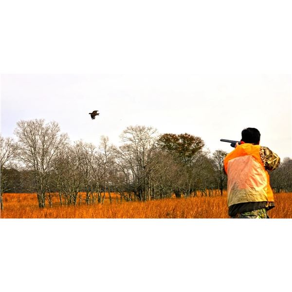 Quail Hunt for 2 - Dry Creek Ranch