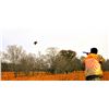 Image 1 : Quail Hunt for 2 - Dry Creek Ranch