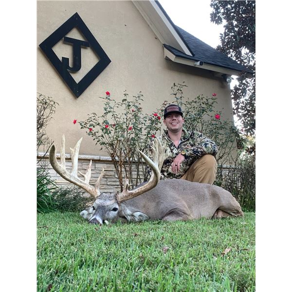 Whitetail Buck at the Diamond J