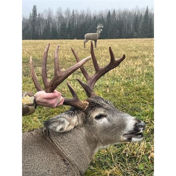Canadian Whitetails For Archery Hunters