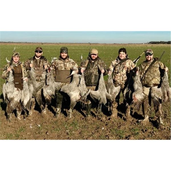 Texas Sandhill Crane Hunt