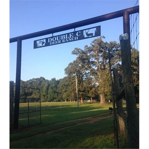 Youth Hunters' Choice Reg Stag or Axis Hunt