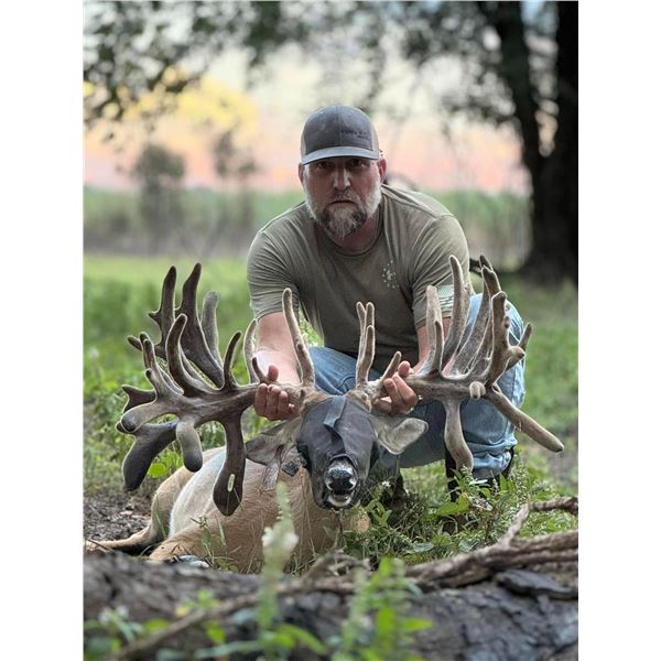 Whitetail Buck at Blackhawk