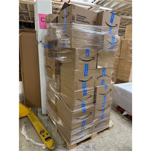 Surprise Amazon Pallet