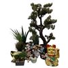 Image 1 : Assorted Asian-Inspired Décor Lot – Faux Pine & Bonsai Plants, Glass-Flower Tree, Lucky Cat