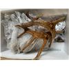 Image 3 : OPEN BOX - Antlers Chandelier 6 Lights, Retail Value $189.99 (As Is)