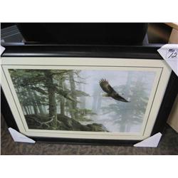 Framed Print "eagle"