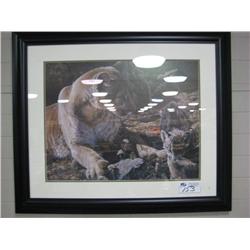 Framed Print "mother & Cub"
