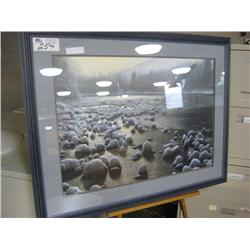 Print "eagle Over Water" Kevin Daniel