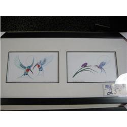 Framed Native Print