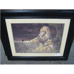 Framed Print "pride"