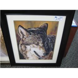 Framed Print "wolf"