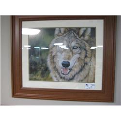 Framed Print "wolf"